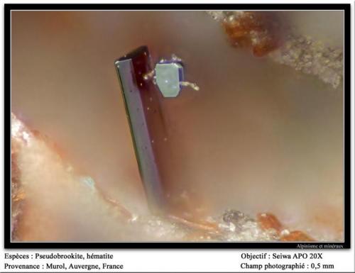 Hematite on pseudobrookite
Groire, Murol, Besse-et-Saint-Anastaise, Puy-de-Dôme, Auvergne, France
fov 0,5 mm (Author: ploum)