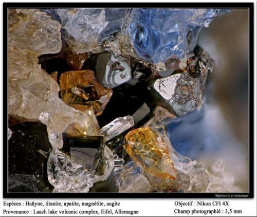 Haüyne, titanite, apatite, magnetite, augite
Laach Lake complex, Eifel, Germany
fov 3.5 mm (Author: ploum)