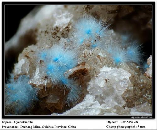 Cyanotrichite
Dachang Mine, Guizhou, China
fov 7 mm (Author: ploum)