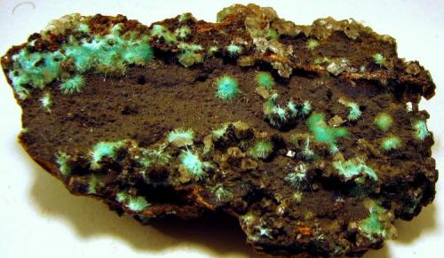 Auricalcita
Mina Ojuela, Mapimi, Durango, Méjico
75 x 47 x 15 mm. (Autor: José Luis Zamora)