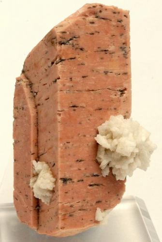 Microclina y  Albita - 
Obras del AVE - Riudarenes -  La Selva - Girona - Catalunya - España - 
6,6 x 3,5 x 3,2 cm (Autor: Martí Rafel)