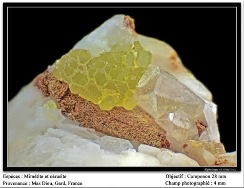 Mimetite and cerussite
Mas Dieu, Gard, France
fov 4 mm (Author: ploum)