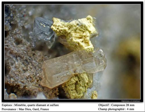 Mimetite and quartz and sulfur
Mas Dieu, Gard, France
fov 4 mm (Author: ploum)