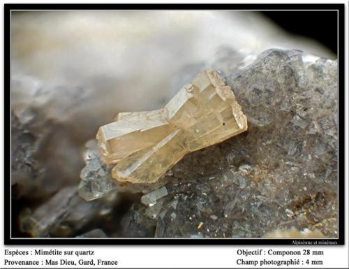 Mimetite on quartz
Mas Dieu, Gard, France
fov 4 mm (Author: ploum)