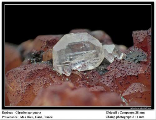 Cerussite
Mas Dieu, Gard, France
fov 4 mm (Author: ploum)