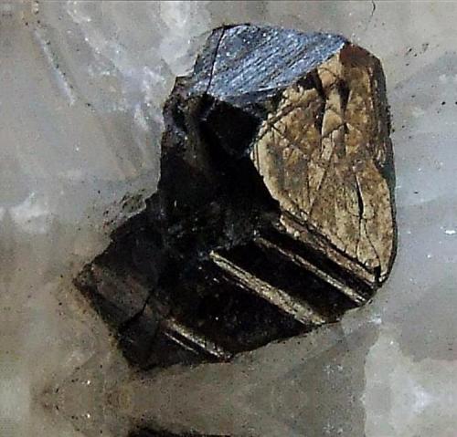 Sphalerite
Carrock Mine, Mungrisedale, Caldbeck Fells, Cumbria.
FOV 10 x 10 mm approx (Author: nurbo)