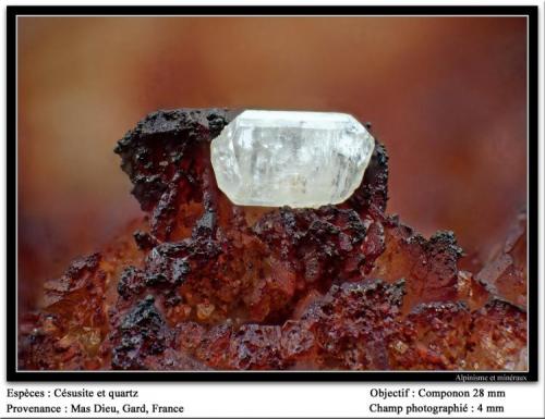 Cerussite on Quartz
Mas Dieu, Gard, France
fov 4 mm (Author: ploum)