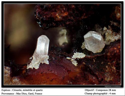 Cerussite, Mimetite and Quartz
Mas Dieu, Gard, France
fov 4 mm (Author: ploum)
