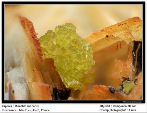 Mimetite on Barite
Mas Dieu, Gard, France
4 mm (Author: ploum)