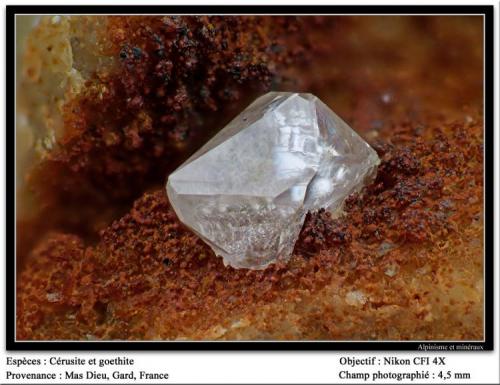 Cerussite on Goethite
Mas Dieu, Gard, France
fov 4.5 mm (Author: ploum)