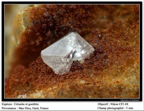 Cerussite on Goethite
Mas Dieu, Gard, France
fov 5 mm (Author: ploum)