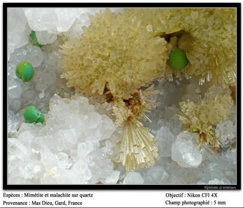 Mimetite, malachite and quartz
Mas Dieu, Gard, France
fov 5 mm (Author: ploum)