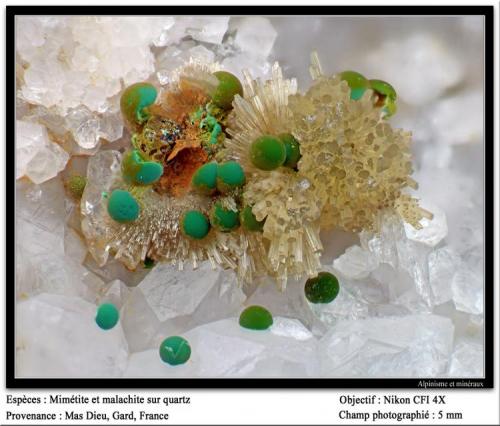 Mimetite, malachite and quartz
Mas Dieu, Gard, France
fov 5 mm (Author: ploum)