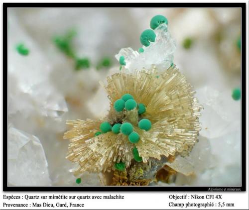 Quartz on mimetite on quartz and with malachite
Mas Dieu, Gard, France
fov 5.5 mm (Author: ploum)