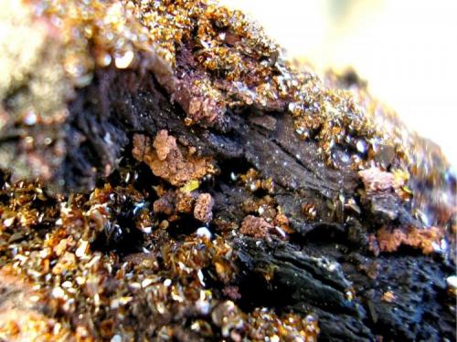 Jarosita
Barranco Jaroso, Sierra Almagrera, Almería, Andalucía, España
48 x 28 x 22 mm.
Cristales de 0,5mm. (Autor: José Luis Zamora)