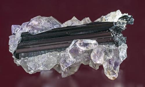 Quartz (var Amethyst), Rutile
Rist Mine, Hiddenite, Alexander Co., North Carolina, USA
3.2 x 2.2 cm. (Author: am mizunaka)