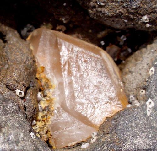 Calcita<br />Costa de Agaete, Agaete, Gran Canaria, Provincia de Las Palmas, Canarias, España<br />Cristal de 1,5x2 cm<br /> (Autor: María Jesús M.)