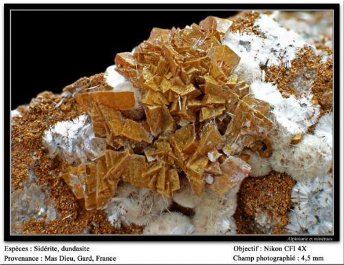 Siderite and dundasite
Mas Dieu, Gard, France
fov 4.5 mm (Author: ploum)