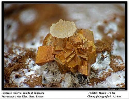Siderite, calcite and dundasite
Mas Dieu, Gard, France
fov 4.5 mm (Author: ploum)