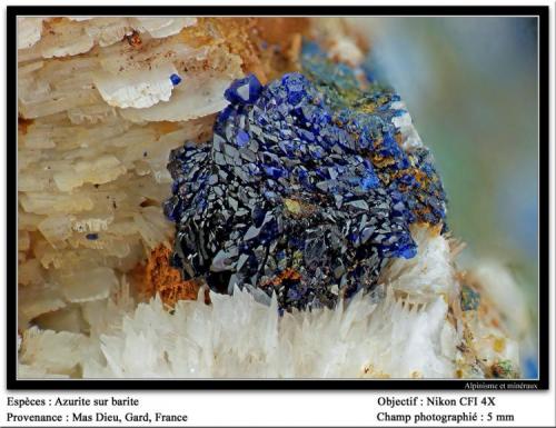 Azurite on Barite
Mas Dieu, Gard, France
fov 5 mm (Author: ploum)