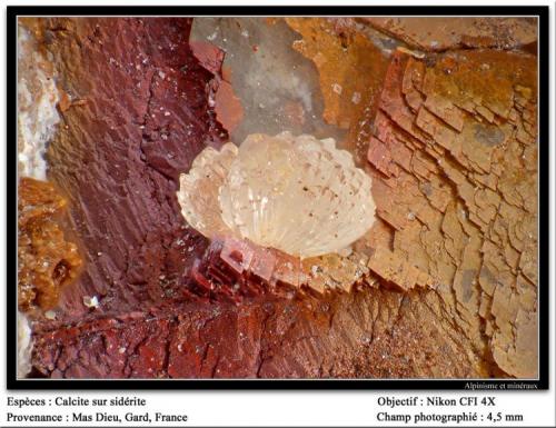 Calcite on siderite
Mas Dieu, Gard, France
fov 4.5 mm (Author: ploum)