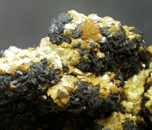 Dolomita ferrosa + Siderita
Lorca - Murcia - España
13.8 x 6.5 cm
Detalle (Autor: Diego Navarro)