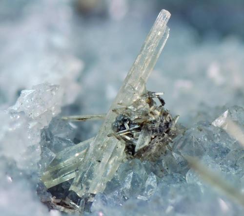 Cerusita
Mina Victoria, Almería, Andalucía, España.
Cristal 4 mm.
Col. Angel Romero. (Autor: Juan Miguel)