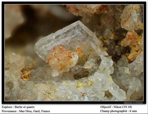 Barite and quartz
Mas Dieu, Gard, France
fov 6 mm (Author: ploum)