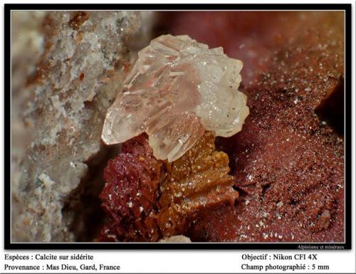 Calcite on siderite
Mas Dieu, Gard, France
fov 5 mm (Author: ploum)