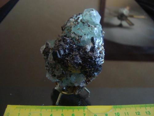 Chalcopyrite, fluorite and sphalerite.
Naica, Chihuahua, Mexico.
9 cm. (Author: javmex2)