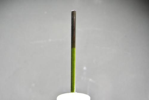 Elbaíta  bicolor
Mina Gerais - Brasil
5 cm (Autor: Diego Navarro)