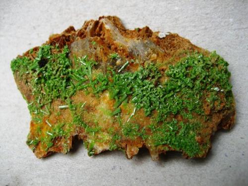 Pyromorphite
Schauinsland Pb-Zn mining district, Black Forest, Baden-Württemberg, Germany
Specimen width 65 mm
 (Author: Tobi)