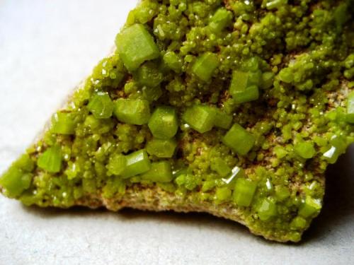 Pyromorphite
Tanzfleck, Freihung, Upper Palatinate, Bavaria, Germany
Largest crystals 4 mm
 (Author: Tobi)