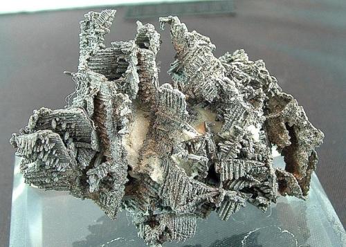 Native silver crystals with a safflorite coating
Langis Mine, New Liskeard, Ontario, Canada
6x4.5x2 cm
This crystal was etched using acid to expose the herring bone silver crystals. As with most of these specimens, a thin coating of safflorite is attached to the silver. (Author: Joseph D'Oliveira)