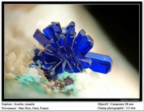 Azurite on rosasite
Mas Dieu, Gard, France
fov 3.5 mm (Author: ploum)