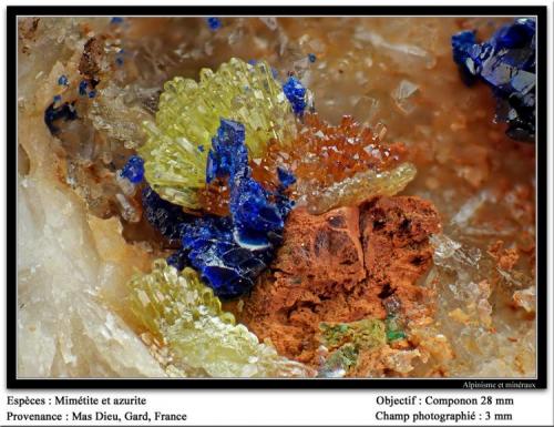 Mimetite and azurite
Mas Dieu, Gard, France
fov 3.5 mm (Author: ploum)