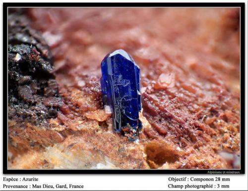 Azurite
Mas Dieu, Gard, France
fov 3 mm (Author: ploum)