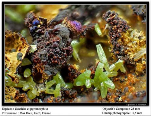 Pyromorphite  on Goethite
Mas Dieu, Gard, France
fov 3.5 mm (Author: ploum)