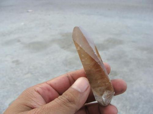 Calcite
Hercules Mine, Coahuila, Mexico.
8 cm. (Author: javmex2)