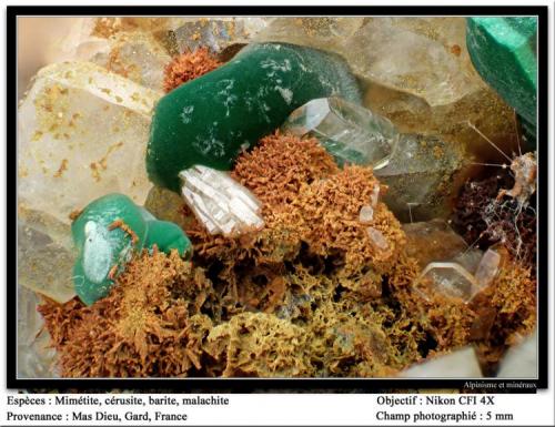 Mimetite, cerussite, barite and malachite
Mas Dieu, Gard, France
fov 5 mm (Author: ploum)