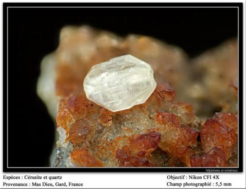 Cerussite on quartz
Mas Dieu, Gard, France
fov 5.5 mm (Author: ploum)