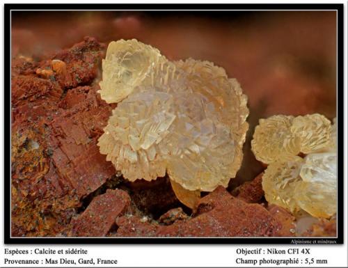 Calcite and siderite
Mas Dieu, Gard, France
fov 5.5 mm (Author: ploum)