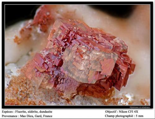 Fluorite, siderite and dundasite
Mas Dieu, Gard, France
fov 5 mm (Author: ploum)