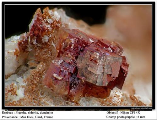 Fluorite, siderite and dundasite
Mas Dieu, Gard, France
fov 5 mm (Author: ploum)
