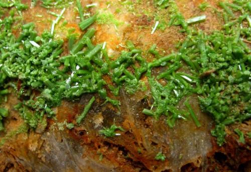 Pyromorphite
Schauinsland Pb-Zn mining district, Black Forest, Baden-Württemberg, Germany
FOV 35 mm (Author: Tobi)