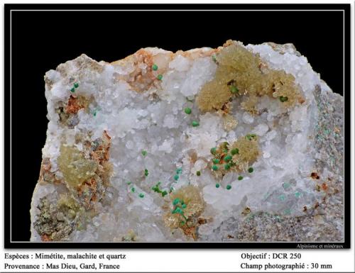 Mimetite, malachite, quartz
Mas Dieu, Gard, France
fov 30 mm (Author: ploum)
