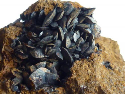 Siderita en Limonita<br />Minas de hierro de Ojos Negros, Ojos Negros, Comarca Jiloca, Teruel, Aragón, España<br />3 x 4 cm. la zona de cristales<br /> (Autor: javier ruiz martin)