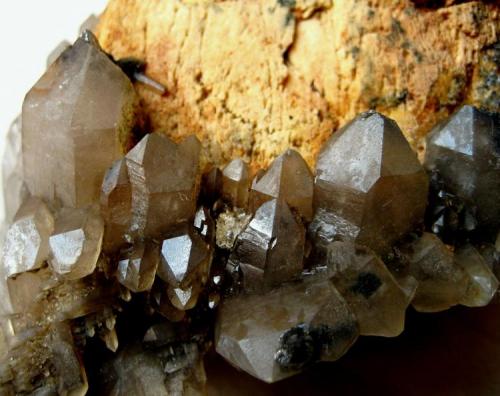 Smoky quartz, feldspar
Lattice quartz occurrence, Karibib District, Erongo Region, Namibia
FOV 60 mm (Author: Tobi)