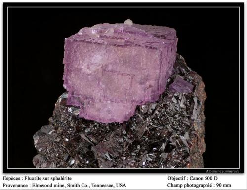 Fluorite
Elmwood mine, Carthage, Smith Co., Tennessee, USA
fov 80 mm (Author: ploum)