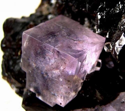 Fluorite on sphalerite
Elmwood mine, Tennessee, USA
Crystal size 15 mm (Author: Tobi)
